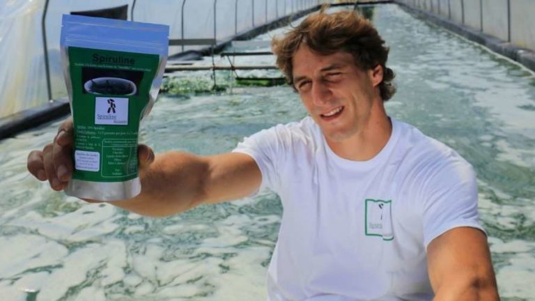 La Spiruline des Landes