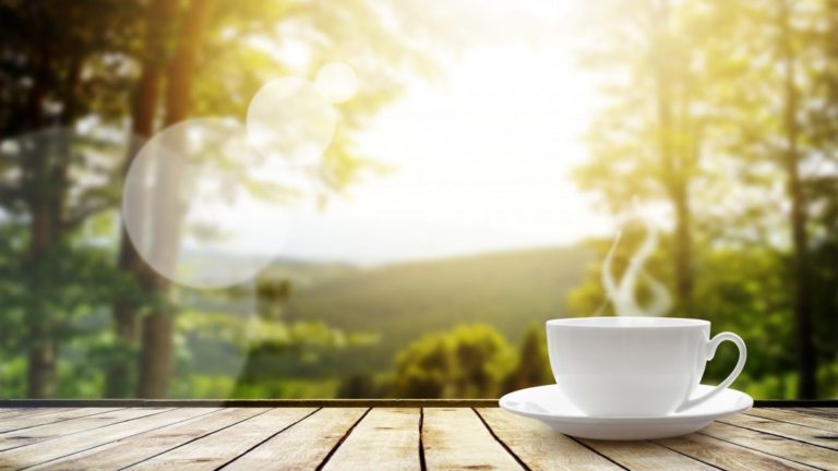 Yogi Tea